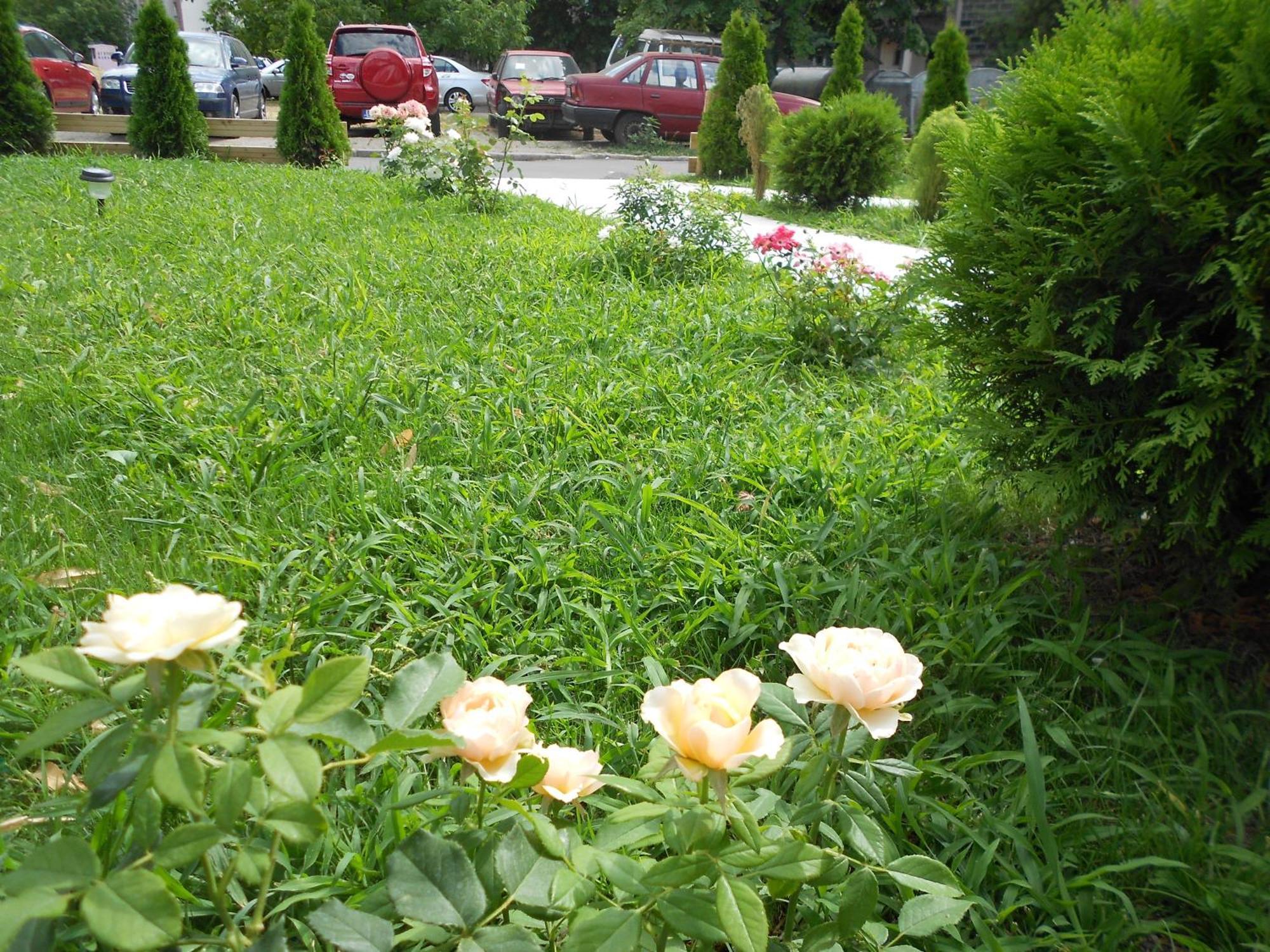Vila Apolo Belgrad Dış mekan fotoğraf